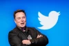 Elon Musk Addresses Data Scraping Concerns on Twitter